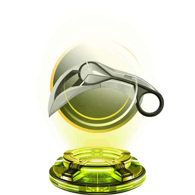 Ion Karambit | AP 🔰 — Valorant account