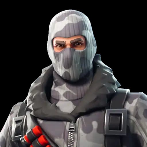 Havoc Guaranteed skin + Mail Access — Fortnite account