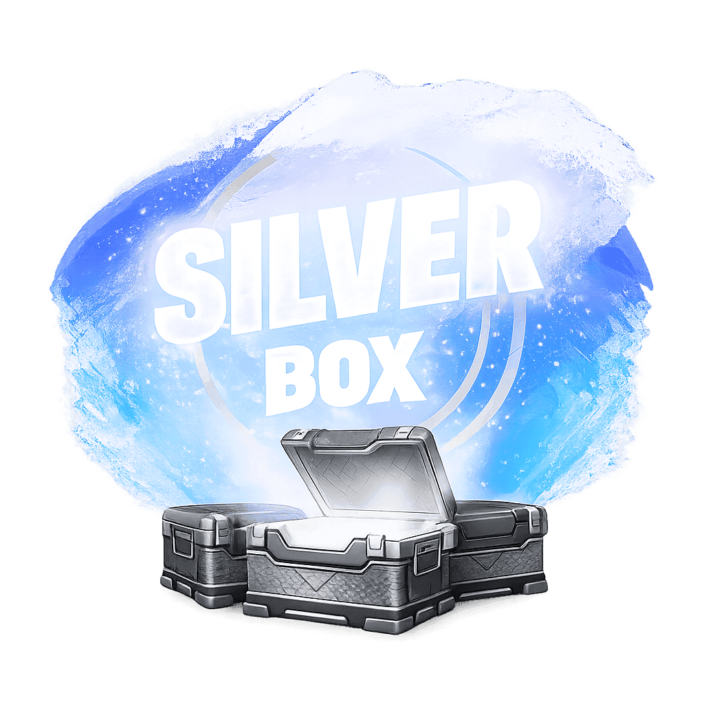 Silver Box — Fortnite account