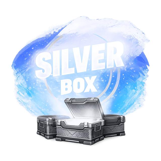Silver Box — Fortnite account